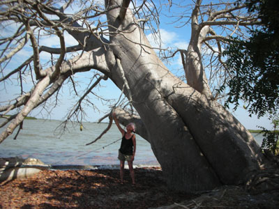 Edie and a baobab tree